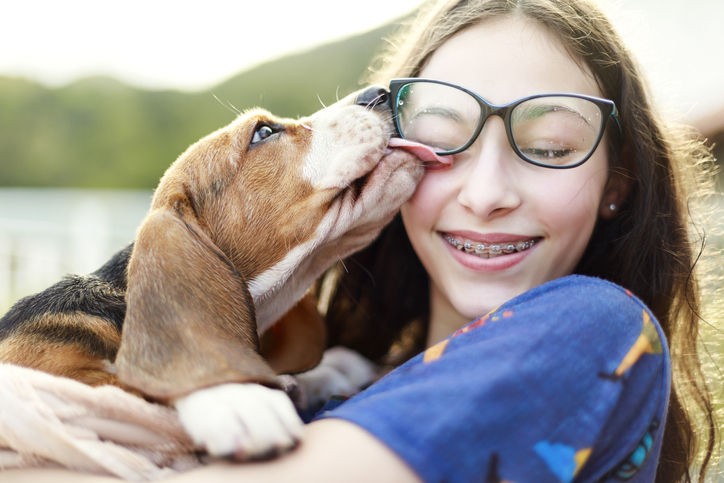 dog licking girl with glasses in the face