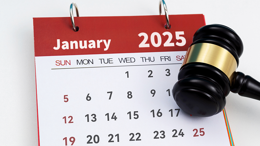 2025 January calendar and gavel